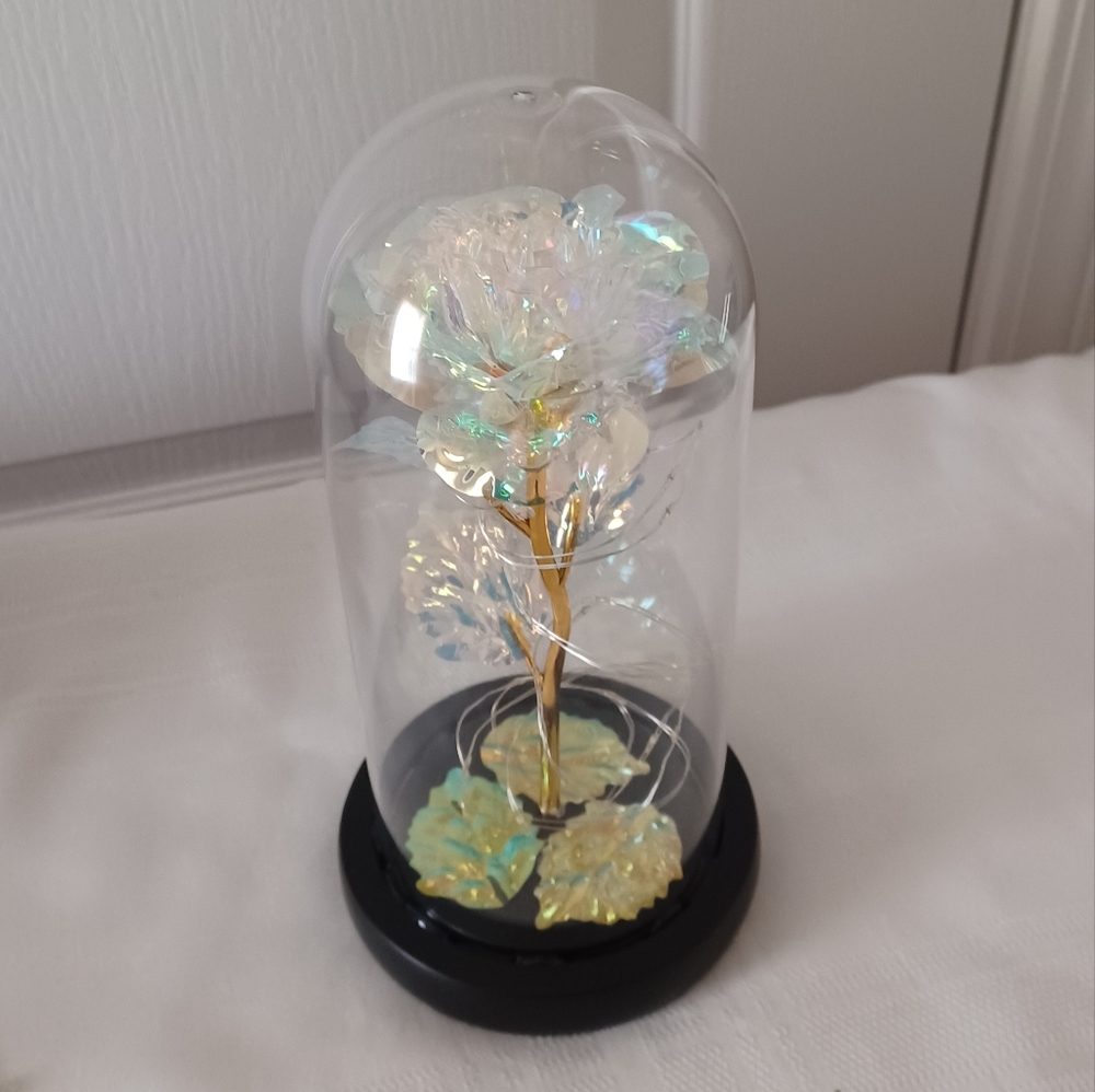Beautiful Rose Gift - Picture 3 of 8